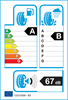 etichetta europea dei pneumatici per Bridgestone Ecopia Ep150 195 60 17 90 H 