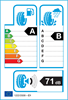 etichetta europea dei pneumatici per Goodyear Efficientgrip 195 55 20 95 H B XL