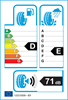 etichetta europea dei pneumatici per Yokohama Ice Guard Ig60 215 50 17 91 Q 3PMSF M+S